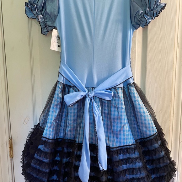 Wicked Dorothy Costume NWT (Fits Most) - Picture 4 of 7